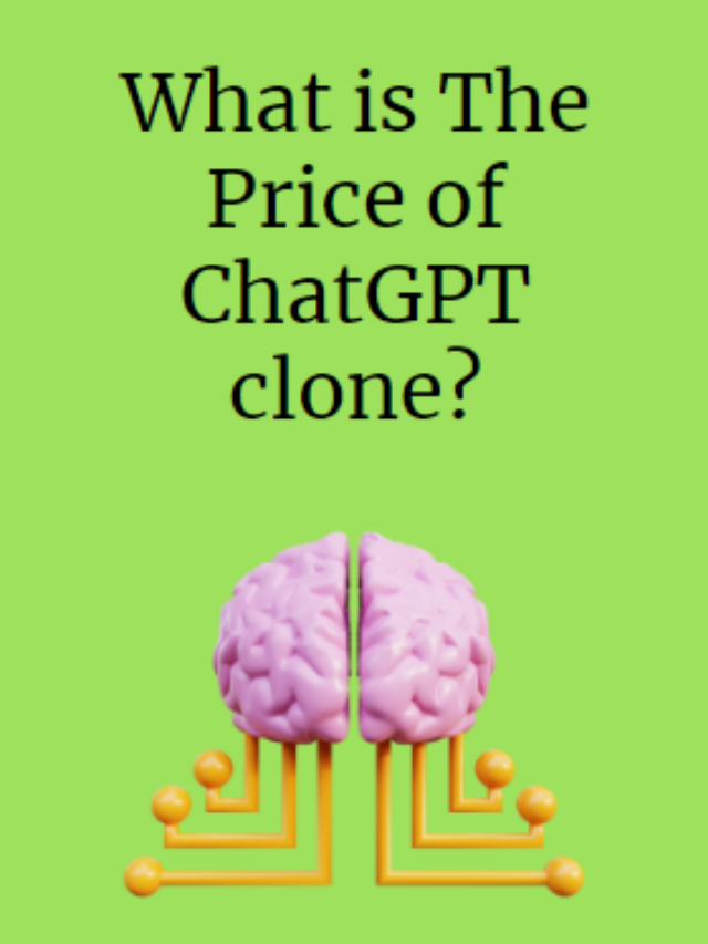 What is The Price of ChatGPT clone?